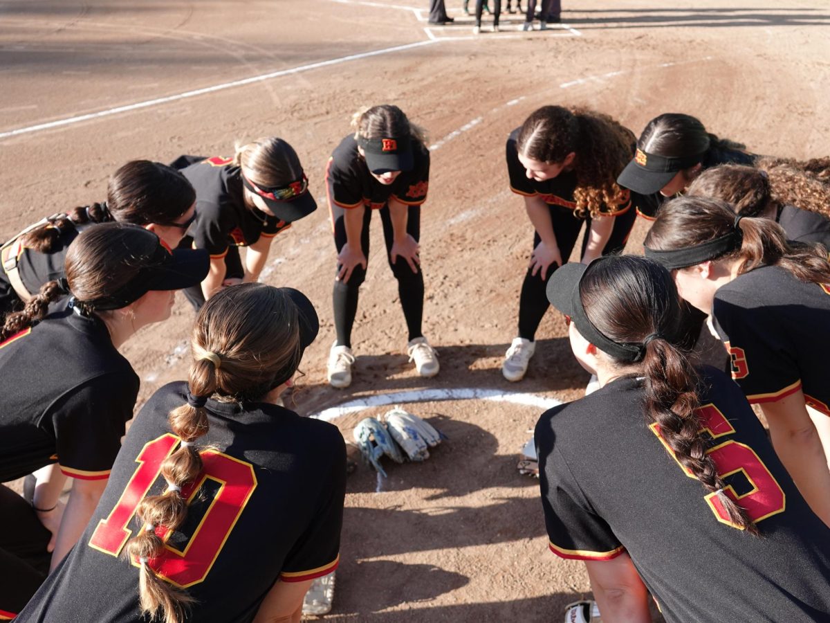 Softball in Full Swing