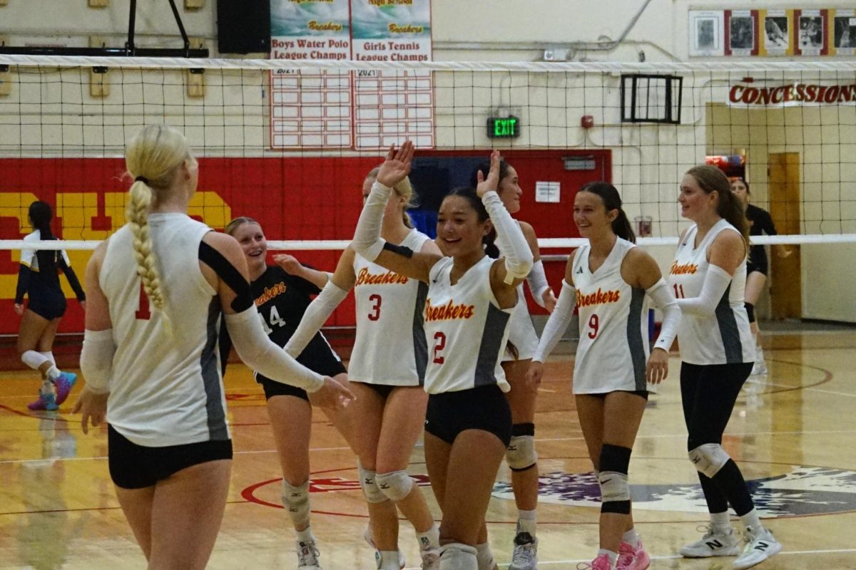 Set Up For Success: An Exciting Start to the Volleyball Season