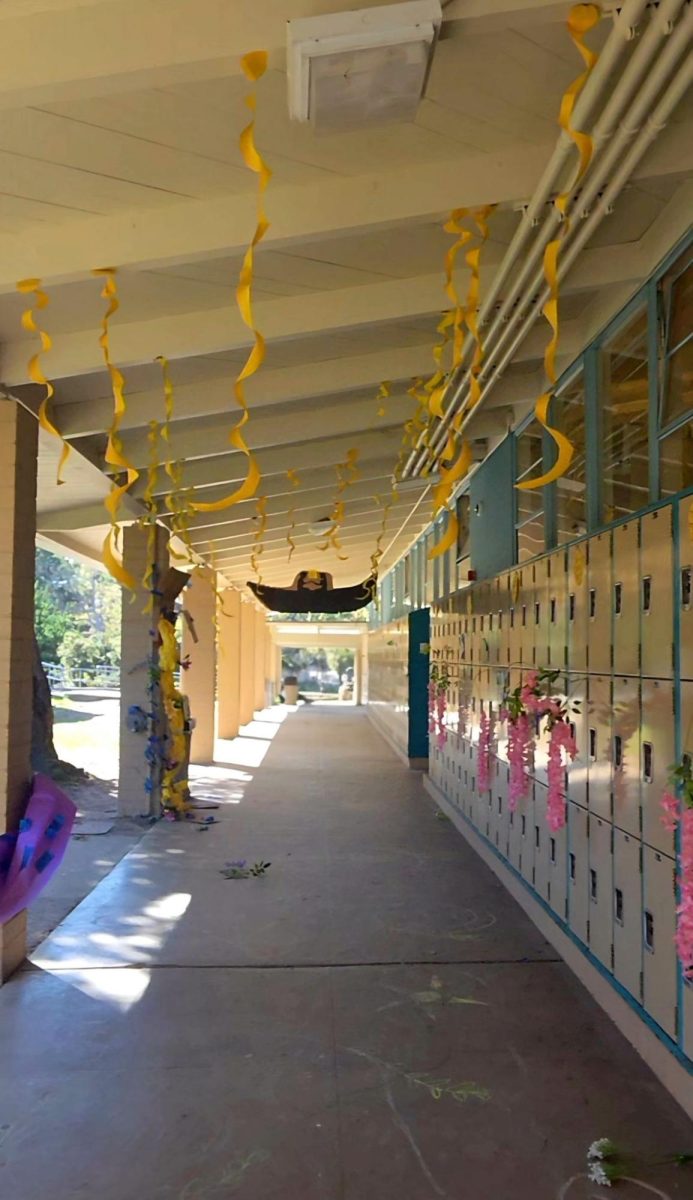 Disney & Decor: 2025 Shoe Week Hall Decorations